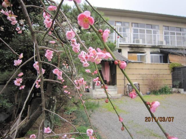 Ryokan Mikasaya Beppu Bagian luar foto